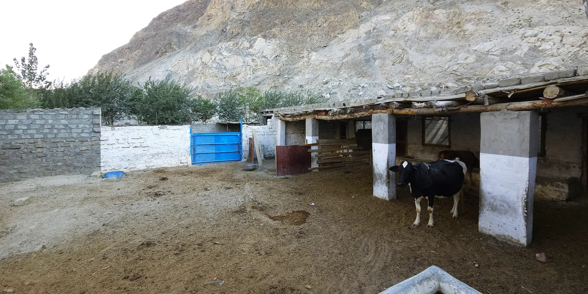 HAS Dairy Farm